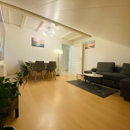 Deluxe Business Suite Mit Netflix Premium & Parkplatz, Zentral Zu Audi & Schwarz Gruppe With 2 Bedrooms Bad Friedrichshall Zewnętrze zdjęcie