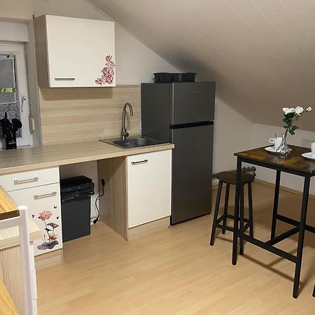 Deluxe Business Suite Mit Netflix Premium & Parkplatz, Zentral Zu Audi & Schwarz Gruppe With 2 Bedrooms Bad Friedrichshall Zewnętrze zdjęcie