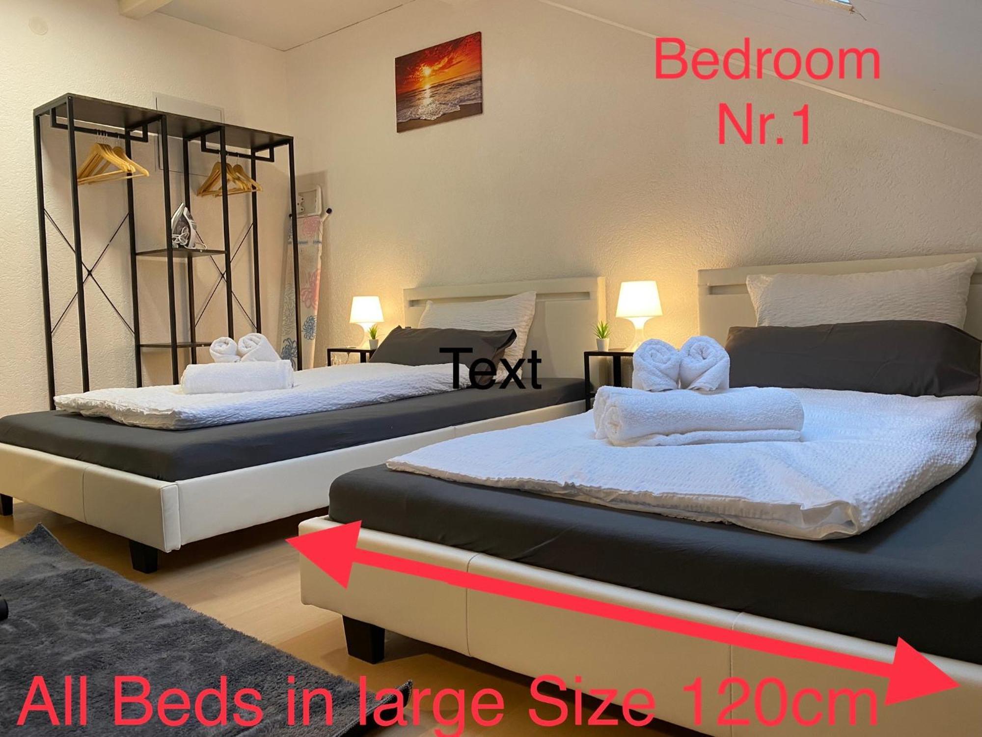 Deluxe Business Suite Mit Netflix Premium & Parkplatz, Zentral Zu Audi & Schwarz Gruppe With 2 Bedrooms Bad Friedrichshall Zewnętrze zdjęcie