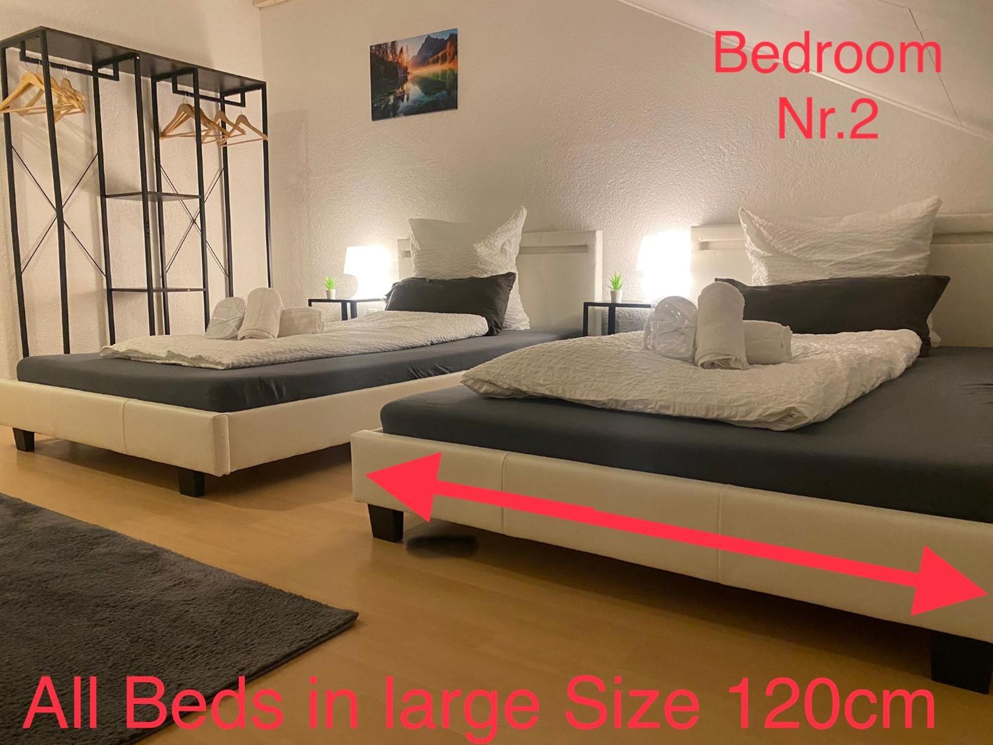 Deluxe Business Suite Mit Netflix Premium & Parkplatz, Zentral Zu Audi & Schwarz Gruppe With 2 Bedrooms Bad Friedrichshall Zewnętrze zdjęcie